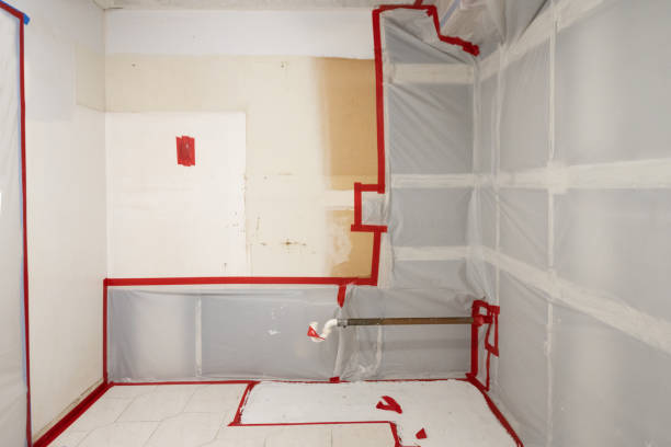 Best Residential Mold Inspection & Testing  in Mountain Green, UT